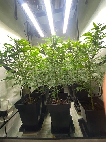 Growreport Bild 1