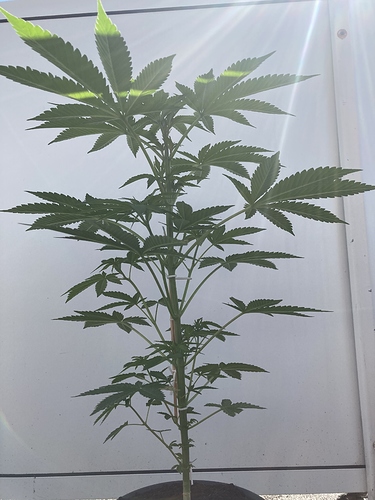 Growreport Bild 2