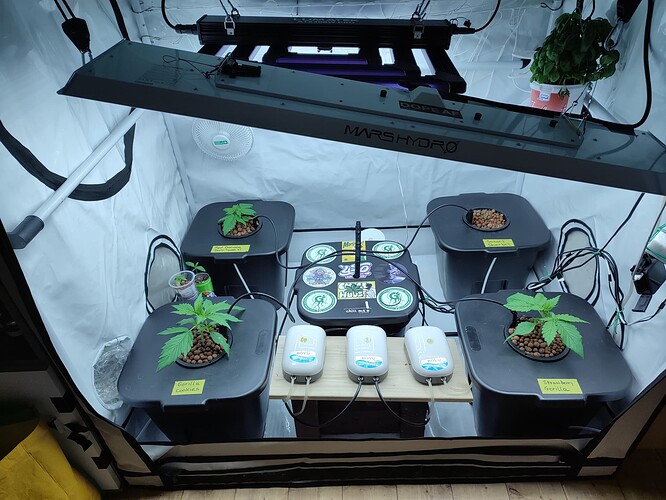 Growreport Bild 26