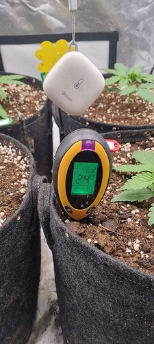 Growreport Bild 27