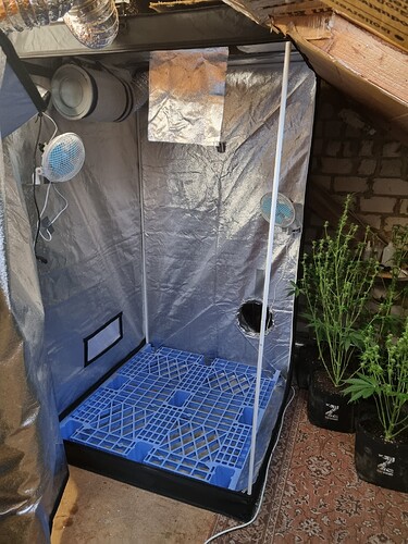 Growreport Bild 10