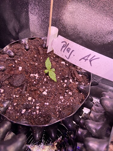 Growreport Bild 16