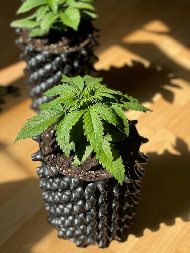 Growreport Bild 22