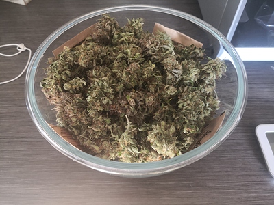 Growreport Bild 3