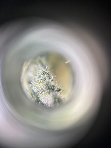 Growreport Bild 8