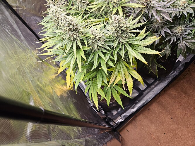 Growreport Bild 14