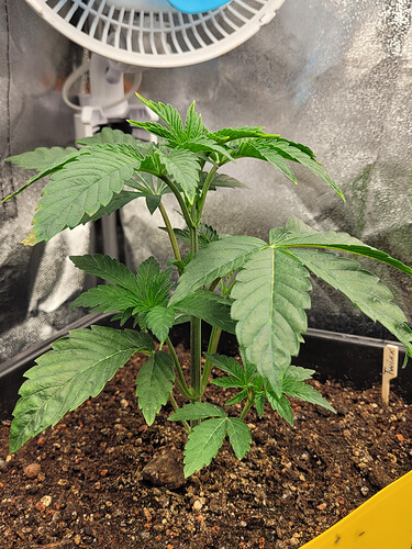 Growreport Bild 10