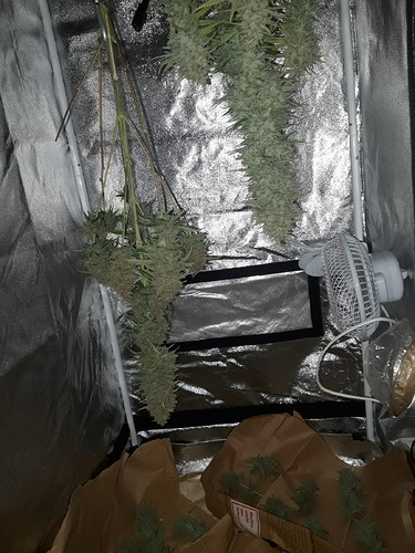 Growreport Bild 5