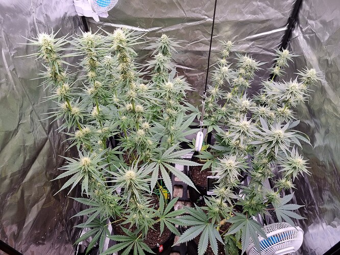 Growreport Bild 26