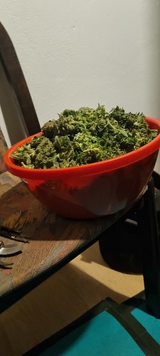 Growreport Bild 8