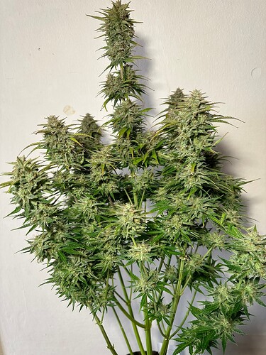 Growreport Bild 10