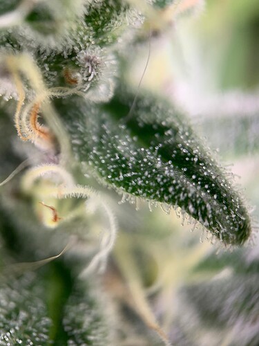 Growreport Bild 21
