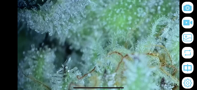 Growreport Bild 12