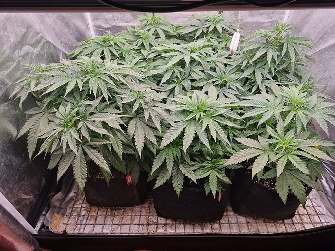 Growreport Bild 22