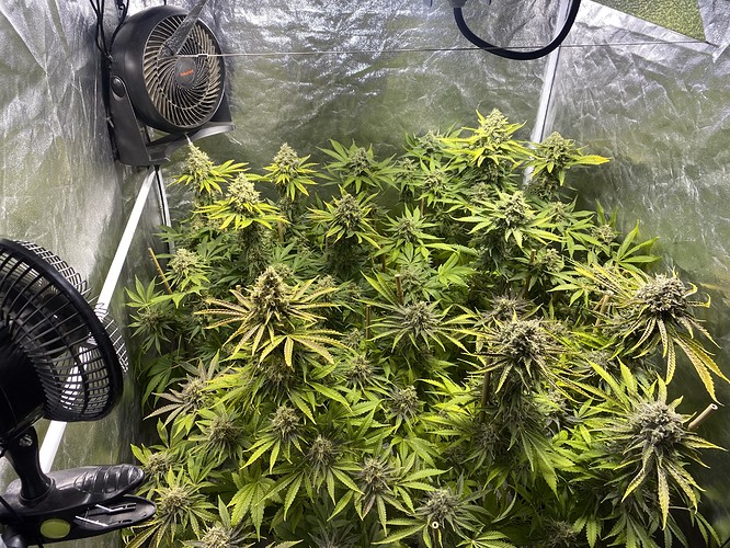 Growreport Bild 9