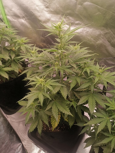 Growreport Bild 10