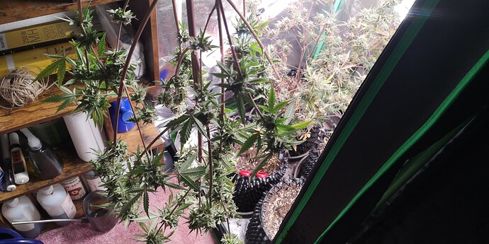 Growreport Bild 11