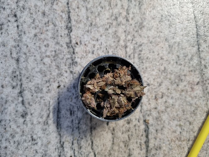 Growreport Bild 3