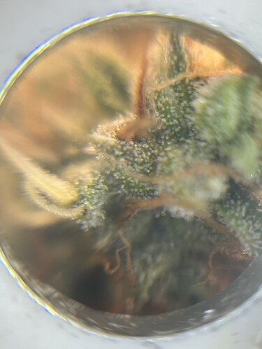 Growreport Bild 19