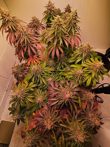 Growreport Bild 25