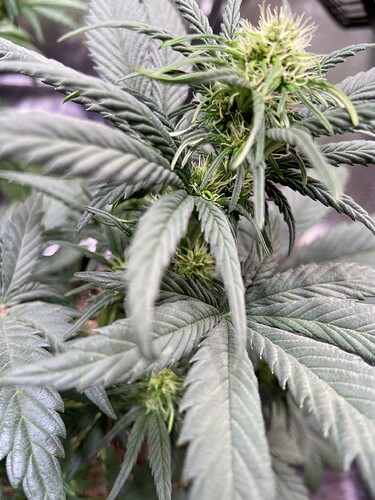Growreport Bild 17