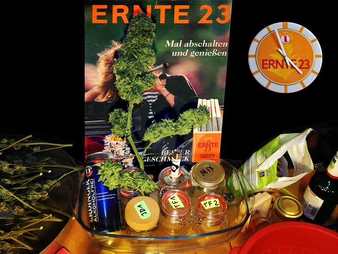 Growreport Bild 1