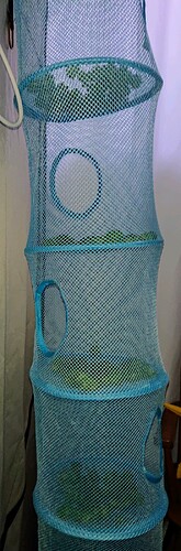 Growreport Bild 11