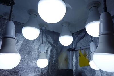 Mehrere LED-Lampen hängen von der Decke eines Growzeltes.