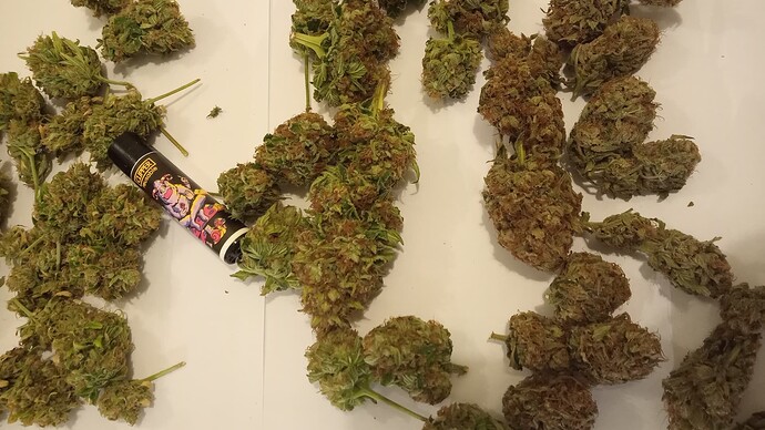 Growreport Bild 20