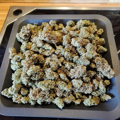 Growreport Bild 53