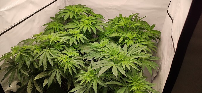Growreport Bild 14
