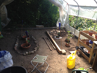Growreport Bild 1