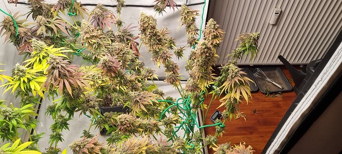 Growreport Bild 20