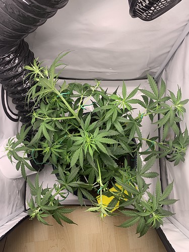 Growreport Bild 8