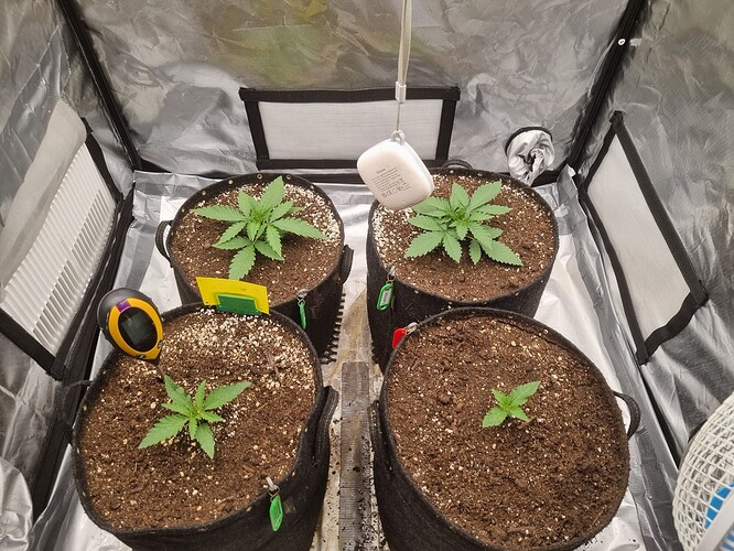 Growreport Bild 7