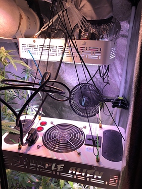 Growreport Bild 20