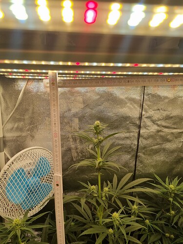 Growreport Bild 15