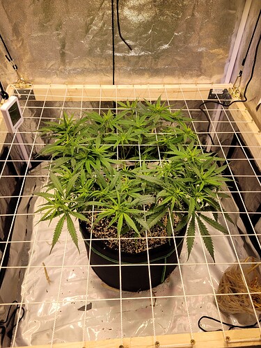 Growreport Bild 9
