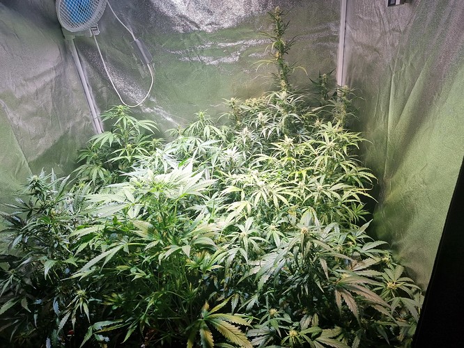 Growreport Bild 10