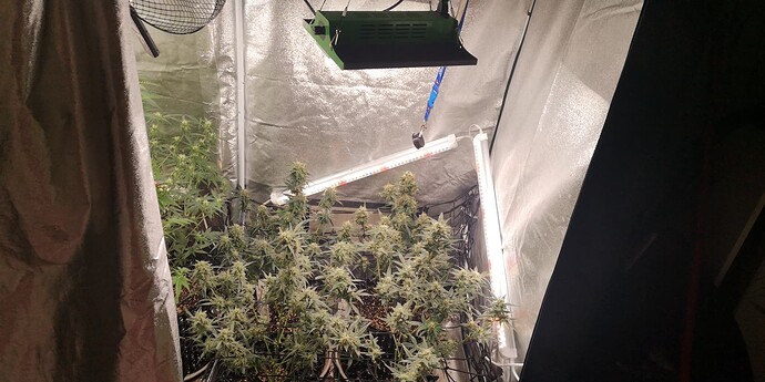 Growreport Bild 21