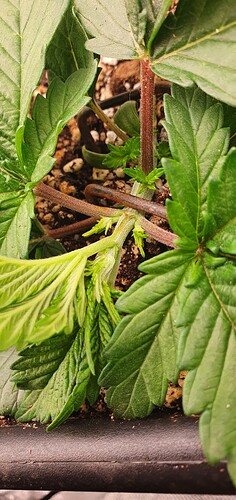 Growreport Bild 11