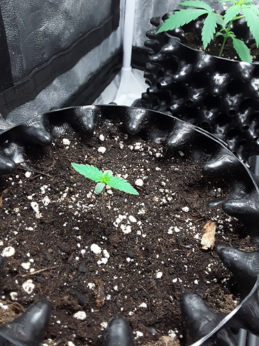 Growreport Bild 8