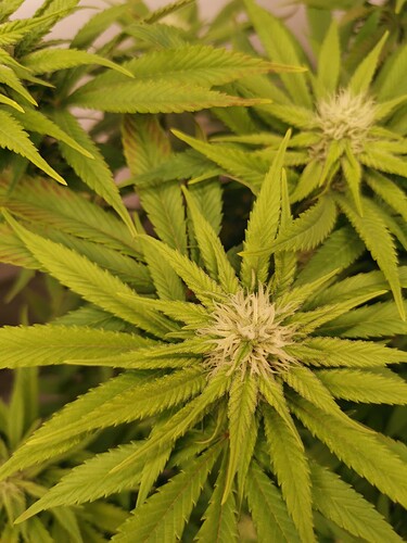 Growreport Bild 21