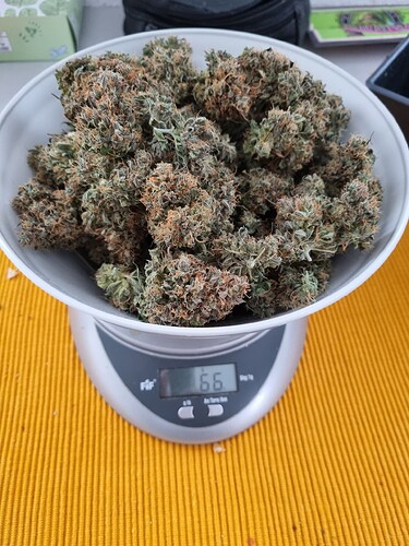 Growreport Bild 5