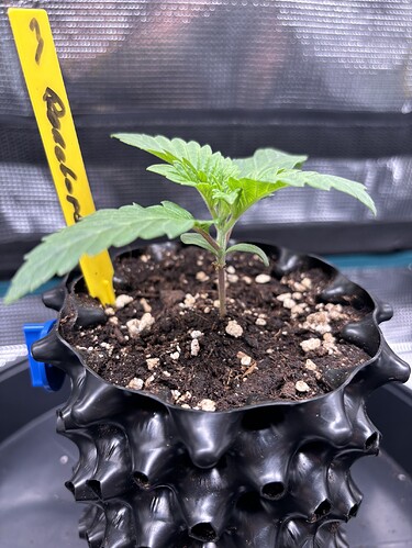Growreport Bild 28