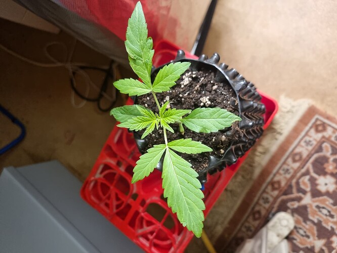 Growreport Bild 30