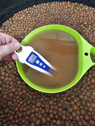 Growreport Bild 13