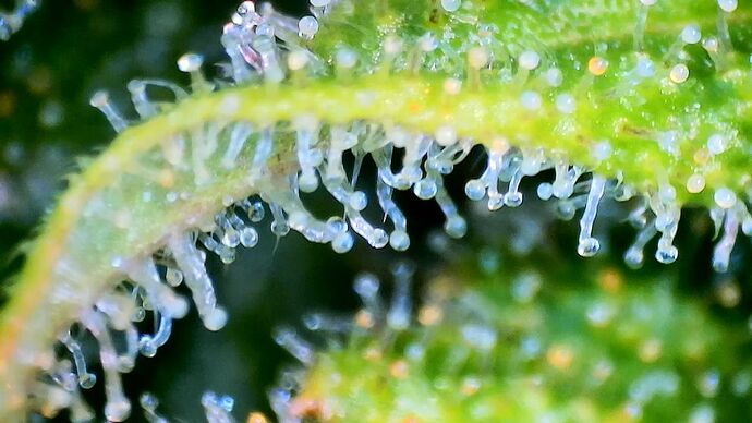 Growreport Bild 14