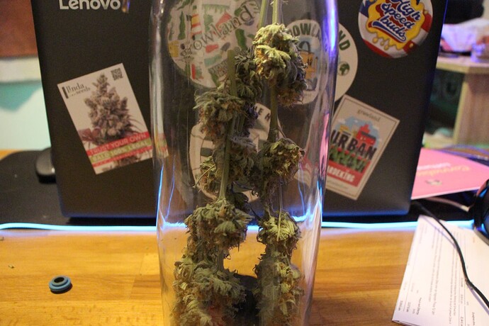 Growreport Bild 6