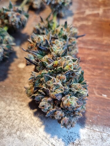 Growreport Bild 31